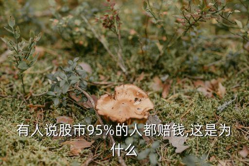 有人說股市95%的人都賠錢,這是為什么