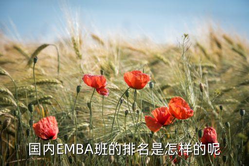 國內(nèi)EMBA班的排名是怎樣的呢