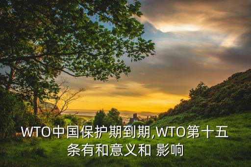 wto2015對(duì)中國的影響