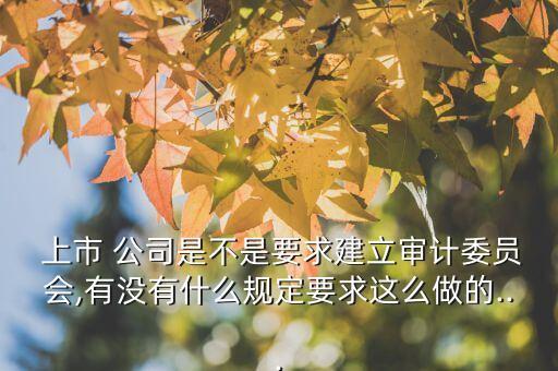  上市 公司是不是要求建立審計(jì)委員會,有沒有什么規(guī)定要求這么做的...