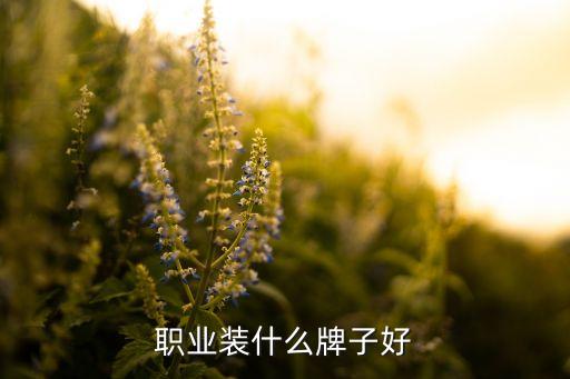 職業(yè)裝什么牌子好