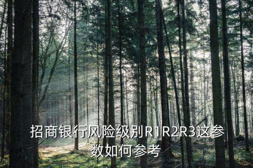  招商銀行風(fēng)險(xiǎn)級(jí)別R1R2R3這參數(shù)如何參考