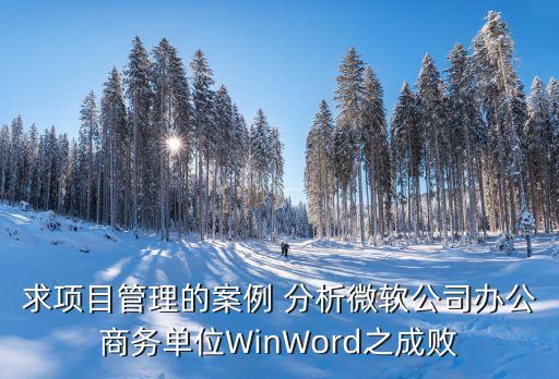 求項(xiàng)目管理的案例 分析微軟公司辦公商務(wù)單位WinWord之成敗