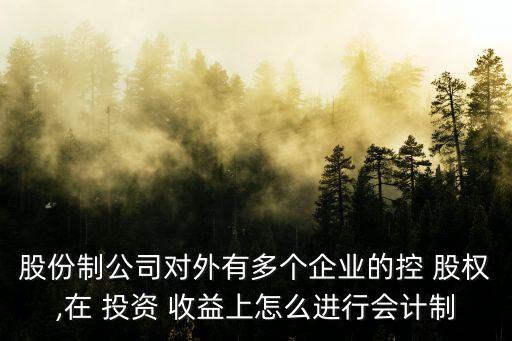 股份制公司對外有多個企業(yè)的控 股權(quán),在 投資 收益上怎么進行會計制