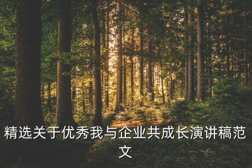 精選關(guān)于優(yōu)秀我與企業(yè)共成長(zhǎng)演講稿范文