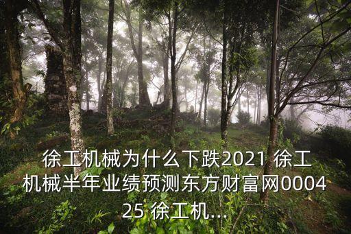  徐工機械為什么下跌2021 徐工機械半年業(yè)績預(yù)測東方財富網(wǎng)000425 徐工機...