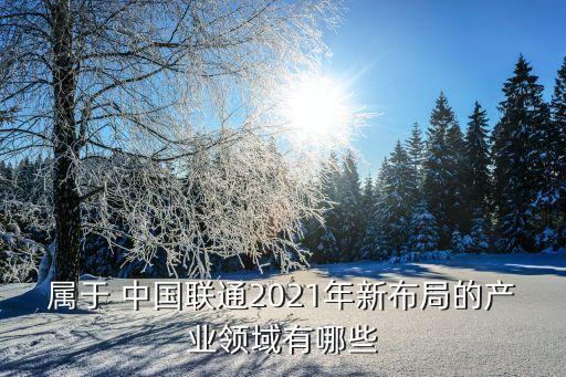 屬于 中國聯(lián)通2021年新布局的產(chǎn)業(yè)領(lǐng)域有哪些