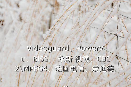 Videoguard、PowerVu、BISS、 永新 視博、CBS2\MPEG4、法國電信、愛迪德...