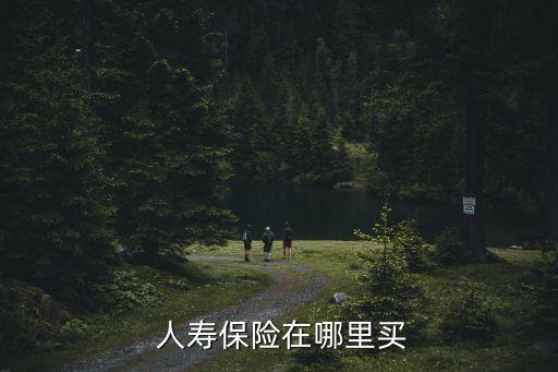 中國人壽個險渠道