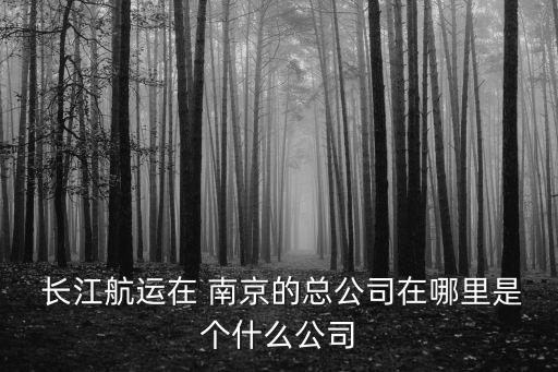  長江航運在 南京的總公司在哪里是個什么公司