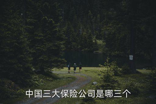 中國人壽的司旗樣版