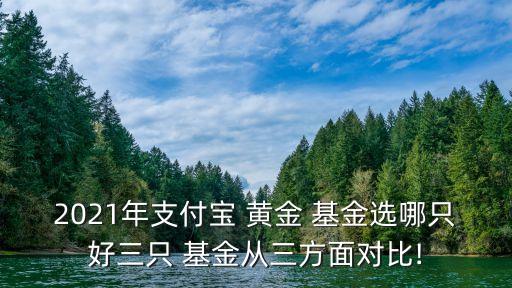 2021年支付寶 黃金 基金選哪只好三只 基金從三方面對比!