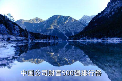 中國公司財富500強排行榜