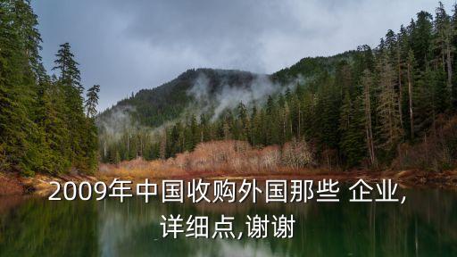 2009年中國收購?fù)鈬切?企業(yè),詳細(xì)點,謝謝