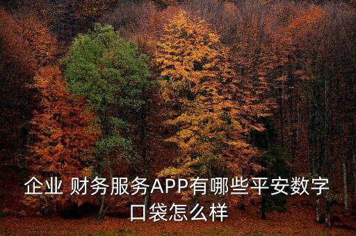 公司財務(wù)app,小公司財務(wù)軟件