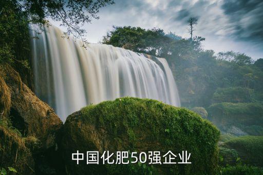 中國(guó)化肥50強(qiáng)企業(yè)