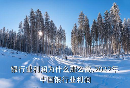 中國銀行業(yè)利潤為什么那么高,2022年中國銀行業(yè)利潤