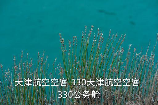 天津航空空客 330天津航空空客 330公務艙