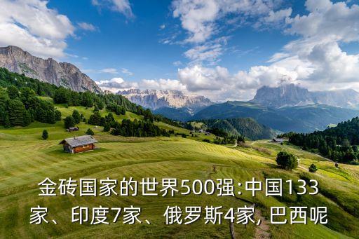 金磚國家的世界500強(qiáng):中國133家、印度7家、俄羅斯4家, 巴西呢