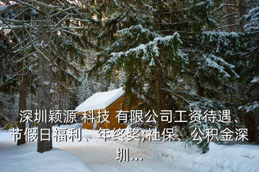 深圳穎源 科技 有限公司工資待遇、節(jié)假日福利、年終獎;社保、公積金深圳...