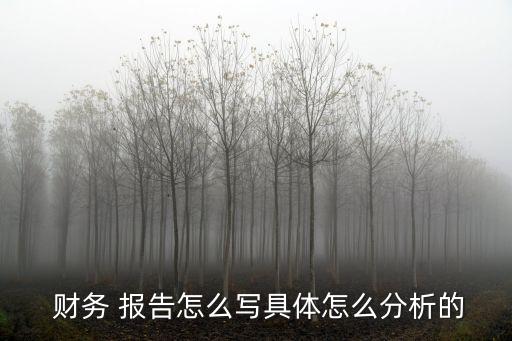 蘇寧云商集團股份有限公司財務會計報告分析