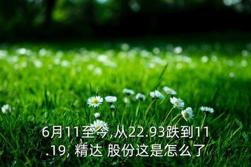 6月11至今,從22.93跌到11.19, 精達(dá) 股份這是怎么了