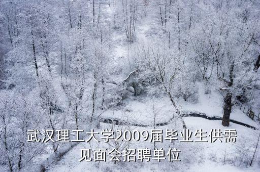  武漢理工大學2009屆畢業(yè)生供需見面會招聘單位