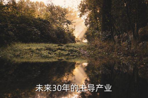 上海未來30年的主導(dǎo)產(chǎn)業(yè)