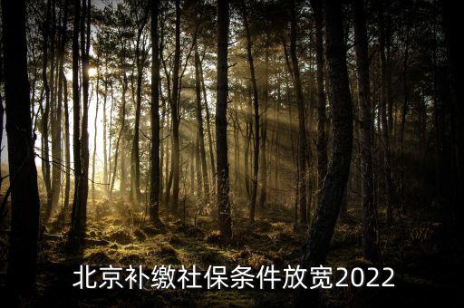  北京補(bǔ)繳社保條件放寬2022