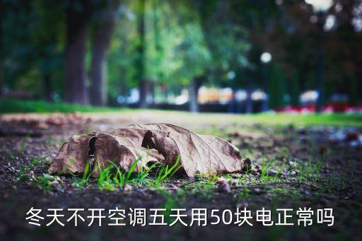 冬天不開空調(diào)五天用50塊電正常嗎