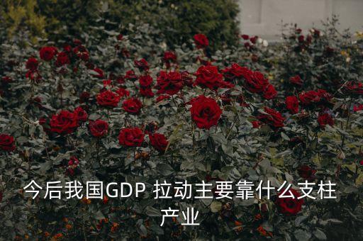 今后我國GDP 拉動主要靠什么支柱產(chǎn)業(yè)