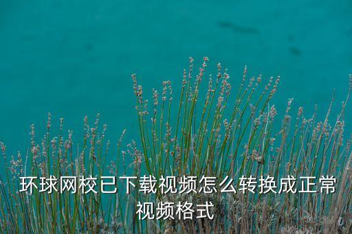  環(huán)球網(wǎng)校已下載視頻怎么轉(zhuǎn)換成正常視頻格式