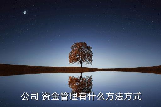 財務公司資金歸集率,集團財務公司資金歸集