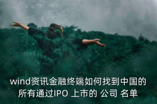 wind資訊金融終端如何找到中國(guó)的所有通過(guò)IPO 上市的 公司 名單