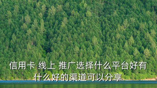 信用卡 線上 推廣選擇什么平臺(tái)好有什么好的渠道可以分享