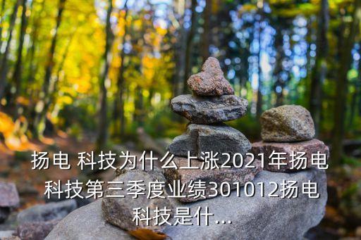 揚(yáng)電 科技為什么上漲2021年揚(yáng)電 科技第三季度業(yè)績(jī)301012揚(yáng)電 科技是什...