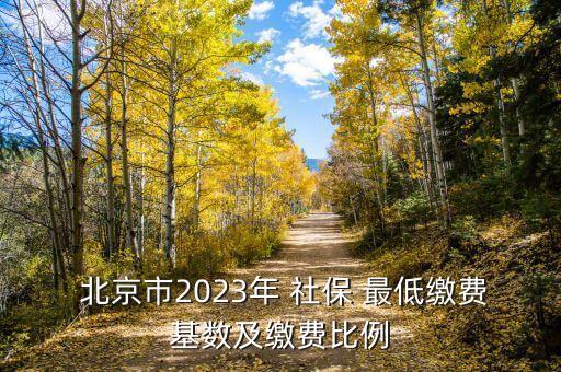 北京社保最低標(biāo)準(zhǔn),2023社保繳費(fèi)價(jià)格表