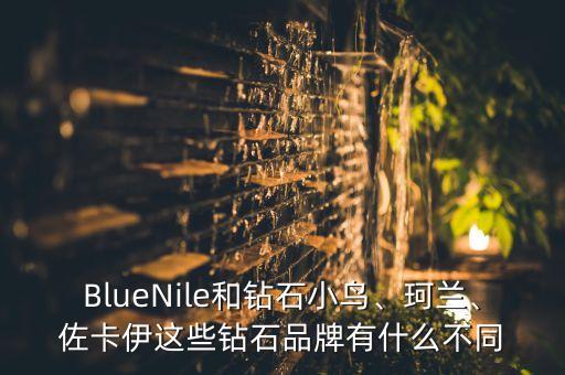 BlueNile和鉆石小鳥、珂蘭、佐卡伊這些鉆石品牌有什么不同