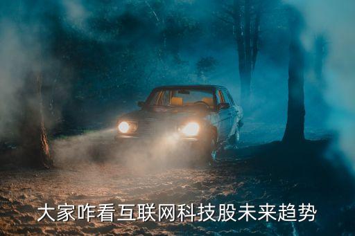 大家咋看互聯(lián)網(wǎng)科技股未來趨勢