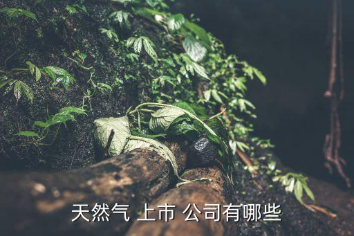 天然氣 上市 公司有哪些