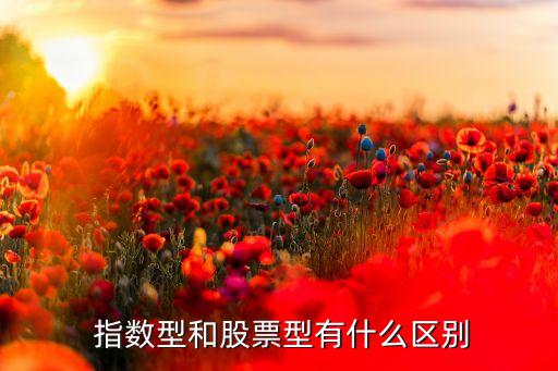  指數(shù)型和股票型有什么區(qū)別