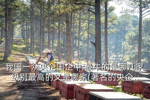 中國盛寶投資集團(tuán)有限公司,山東盛寶玻璃鋼集團(tuán)有限公司