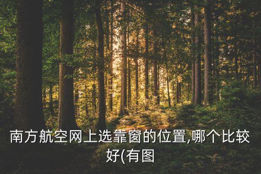 南方航空網(wǎng)上選靠窗的位置,哪個(gè)比較好(有圖