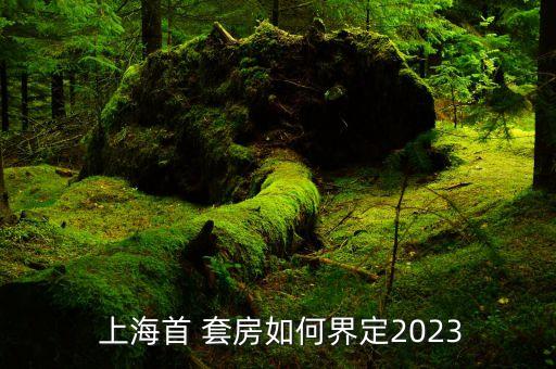  上海首 套房如何界定2023