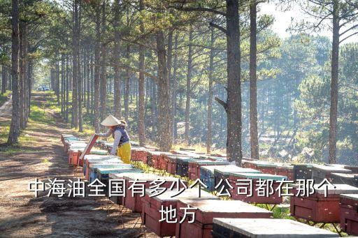  中海油全國有多少個(gè) 公司都在那個(gè)地方