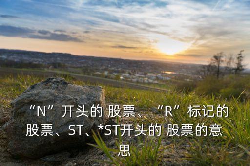 “N”開頭的 股票、“R”標(biāo)記的 股票、ST、*ST開頭的 股票的意思