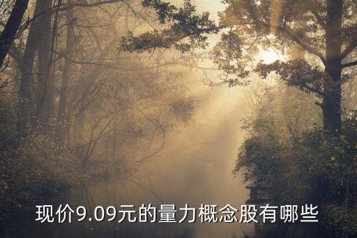 現(xiàn)價9.09元的量力概念股有哪些