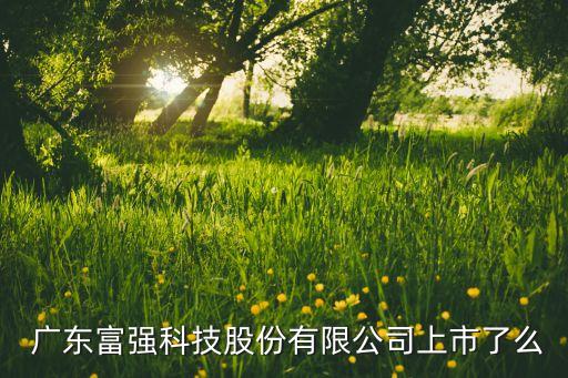  廣東富強(qiáng)科技股份有限公司上市了么