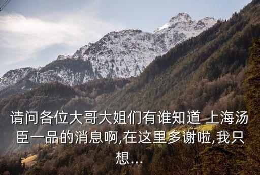 請問各位大哥大姐們有誰知道 上海湯臣一品的消息啊,在這里多謝啦,我只想...