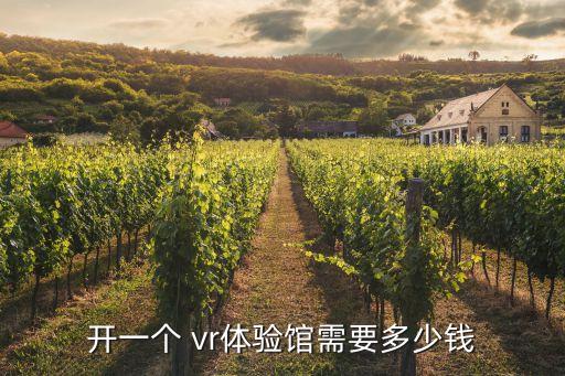 開一個 vr體驗館需要多少錢